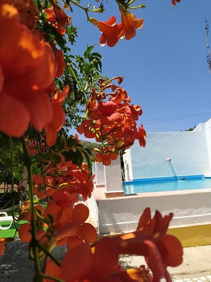 Quinta Da Ponte Das Hortas 3 Елваш Екстер'єр фото