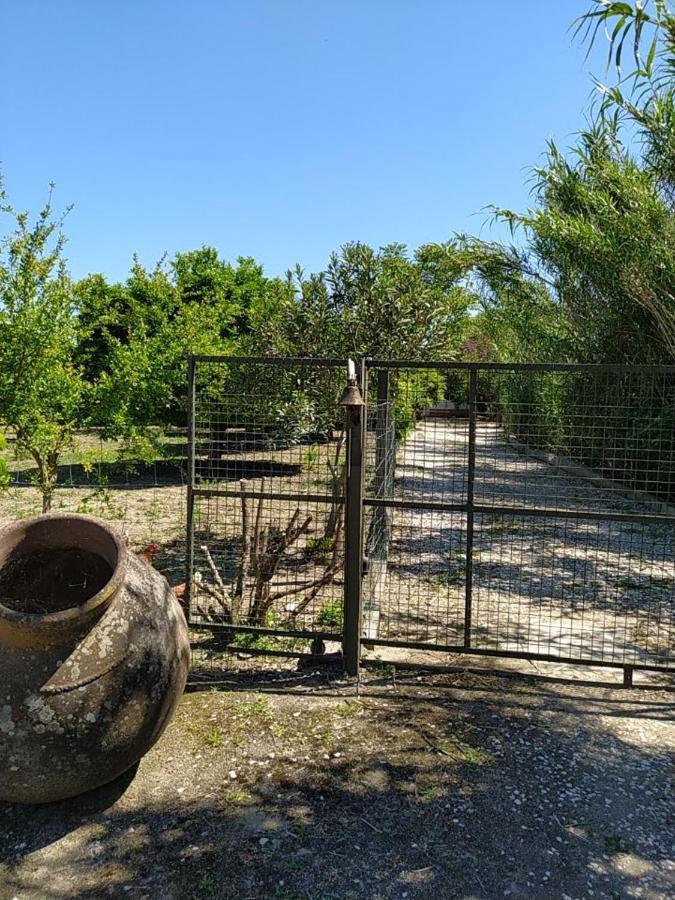 Quinta Da Ponte Das Hortas 3 Елваш Екстер'єр фото